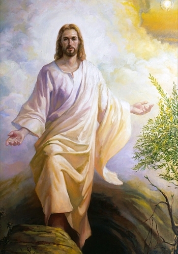 Necrologio di NH Tommaso Addario