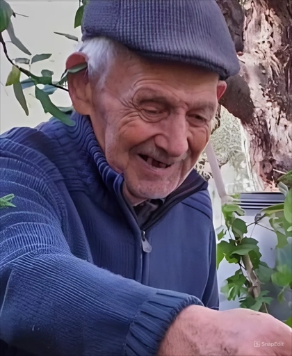 Necrologio di Vincenzo STRIPPOLI