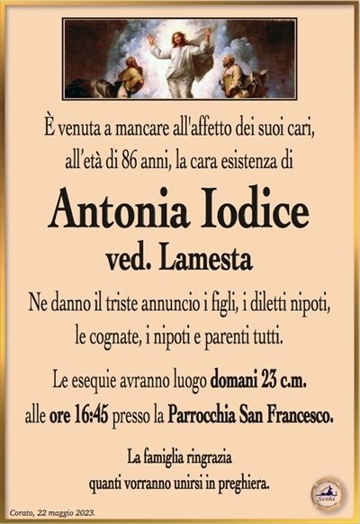 È venuta a mancare all’affetto dei suoi cari,all’età di 86 anni, la cara esistenza di
Antonia Iodice
ved. LAmesta
Ne danno il triste annuncio i figli, i diletti nipoti,
le cognate, i nipoti e parenti tutti.
Le esequie avranno luogo domani 23 c.m.
alle ore 16:45 presso la Parrocchia San Francesco.
La famiglia ringrazia
quanti vorranno unirsi in preghiera.