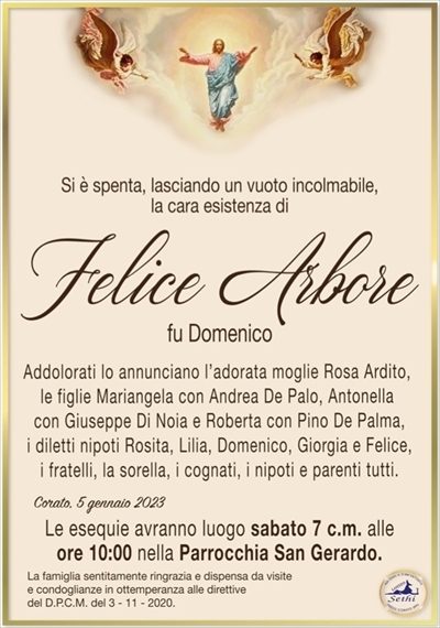 Si é spenta lasciando un vuoto incolmabile,la cara esistenza di
Felice Arbore
fu Domenico
Addolorati lo annunciano l’adorata moglie Rosa Ardito, le figlie Mariangela con Andrea De Palo, Antonella con Giuseppe Di Noia e Roberta con Pino De Palma, i diletti nipoti Rosita, Lilia, Domenico, Giorgia e Felice, i fratelli, la sorella, i cognati, i nipoti e parenti tutti.
Le esequie avranno luogo sabato 7 c.m. alle ore 10:00 nella Parrocchia San Gerardo.
