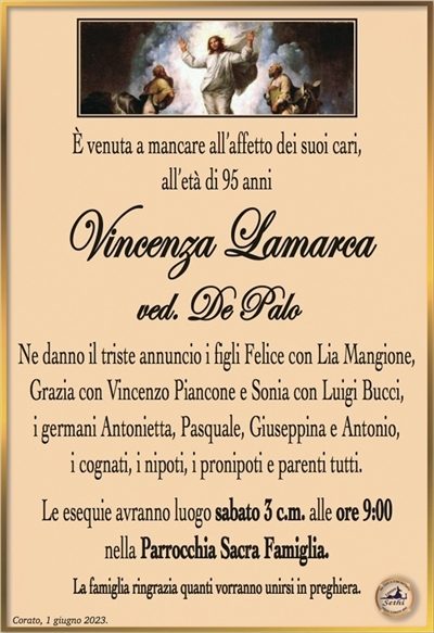 È venuta a mancare all’affetto dei suoi cari,all’età di 95 anni
Vincenza Lamarca
ved. De Palo
Ne danno il triste annuncio i figli Felice con Lia Mangione, Grazia con Vincenzo Piancone e Sonia con Luigi Bucci,
i germani Antonietta, Pasquale, Giuseppina e Antonio,
i cognati, i nipoti, i pronipoti e parenti tutti.
Le esequie avranno luogo sabato 3 c.m. alle ore 9:00
nella Parrocchia Sacra Famiglia.
La famiglia ringrazia quanti vorranno unirsi in preghiera.